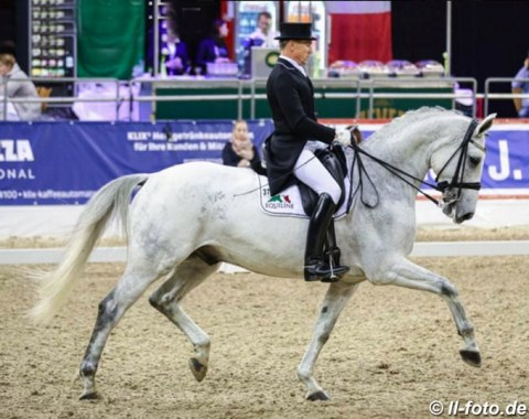 Holga Finken on the Polish bred Werbel, a horse he and Christoph Koschel acquired after seeing it advertised in the Eurodressage equimarket