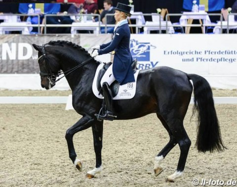 Therese Nilshagen and For Romance I in the Louisdor cup qualifier