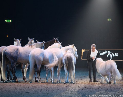 Jean François Pignon is always endearing with his freedom training