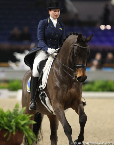 Inna Logutenkova on Vian Group's 16-year old Danish warmblood Fleraro (by Flemmingh x Royal Z)