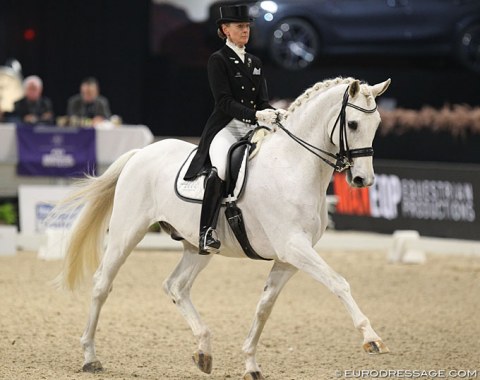 Mai Tofte Olesen on the 17-year old Danish warmblood Rustique (by Heslegards Rubin x Midt West Ibi Light)