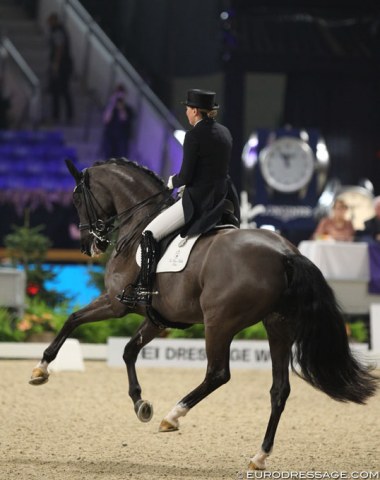 Luxembourg's Fie Skarsoe on Victoria Schönhofen's 12-year old Hanoverian mare So Dark (by San Remo x Rotspon). The horse showed much improvement in Mechelen