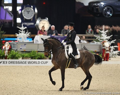 Frederic Wandres on Hof Kasselmann's 14-year old Oldenburg Westminster (by Weltissimo x Davignon).