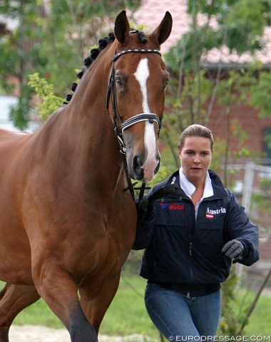 At the horse inspection at the 2005 European Championships in Hagen