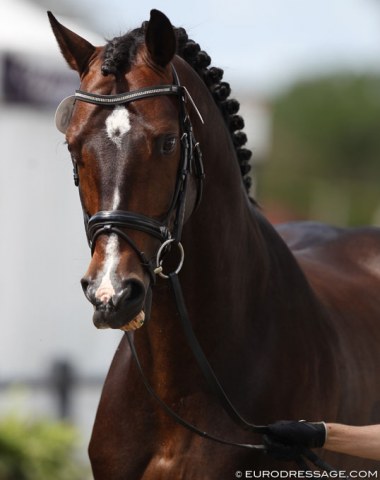 Beautiful Sanceo showing teeth