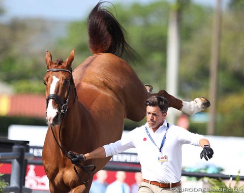 Christoph Koschel and a bucking Eddieni