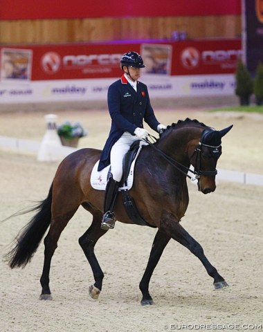 Gareth Hughes on his second GP horse, the Swiss owned KK Woodstock (by Wolkentanz II). Although slow behind in trot and having difficulties keeping a clear rhythm in walk, the horse is very well developed and presented