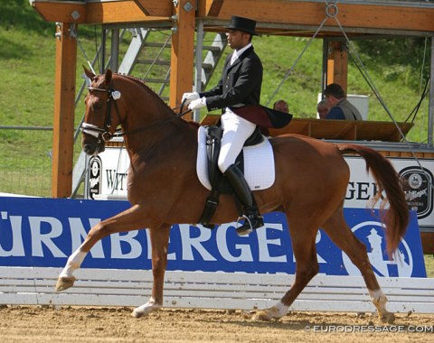 Wie Atlantico (by Wie Weltmeyer x Rondo) - Shown in Verden by Spaniard Enrique  Brewak. Went on to be an Spanish Olympic team reserve with Juan Matute Sr and and international Grand Prix horse for Fiona Bigwood and Anders Dahl