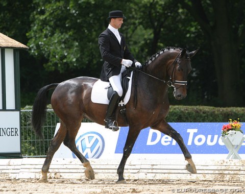 Wizard (by Weltmeyer x Classiker) - Shown in Verden by Belgian Stefan van Ingelgem. Went on to become Adrienne Lyle's 2012 London Olympic Games' partner