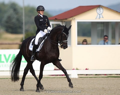 Anna Christina Abbelen on the Belgian warmblood bred El Amore van de Kempenhoeve (by San Amour x Florencio)