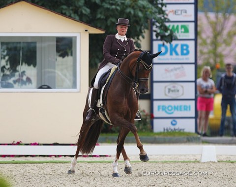 Belgian Dominique Mohimont on the mega talented Oldenburg Toureine de Meugon (by Donnerball x Wolkentanz II)