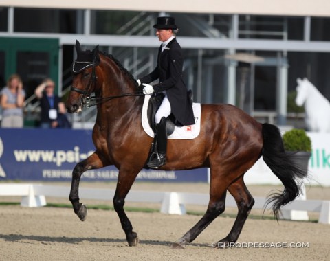 Swedish Christina Pantzar on Sofie Reef's 17-year old Hanoverian Silencium (by Shakespeare in Love x Wolkenstein II)