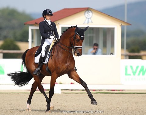 Dutch-Indian Yomini Pitambersingh aboard Lens Nekeman's Van Krack STH (by Krack C x Nimmerdor). The horse has such a beautiful uphill canter and uphill frame, only the bridle contact needs to improve