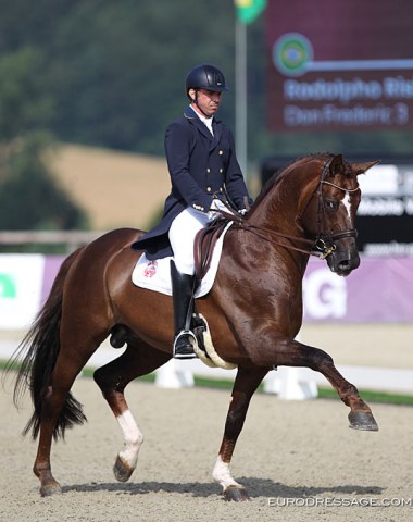 Brazilian paralympian Rodolpho Riskalla often competes in the able bodied classes. Here aboard his new ride Don Frederic (by Don Frederico x Wolkentanz)