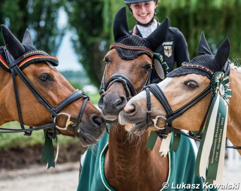 German ponies Nasdaq, Der Kleine Sunnyboy, Daddy Moon say hi