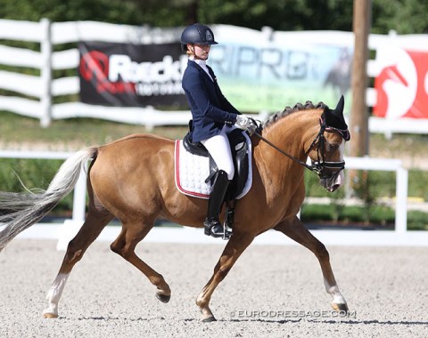 Austrian Florentina Jöbstl on Colourfull Cannonball (sic) finish 9th with an Austrian pony record score of 73.143%