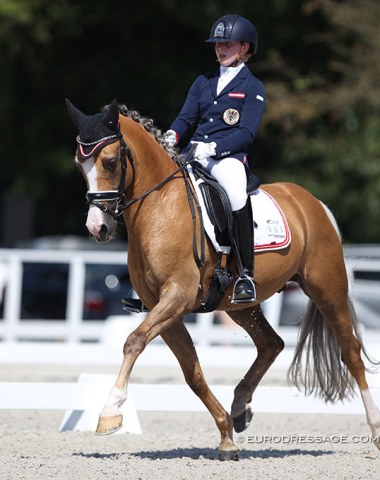 Florentina Jöbstl and the powerfully moving Colourfull Cannonball. His energy and forward engagement are a bit difficult to manage still for his Austrian rider, who can not yet lighten the contact