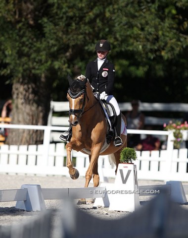 Austrian Fanny Jöbstl on European Championship routinier Dynasty (by Deinhard B x Arts Dancer Boy)