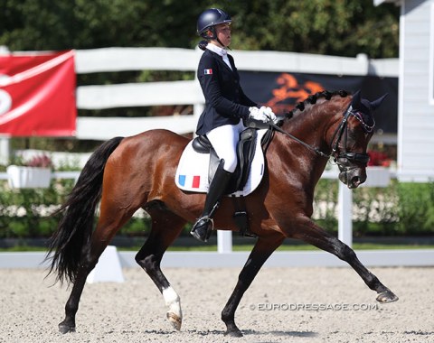 French Charlotte Monteilhet on the Belgian bred Dinky Toy van het Bloemenhof (by Champion de Luxe x Don't Worry)