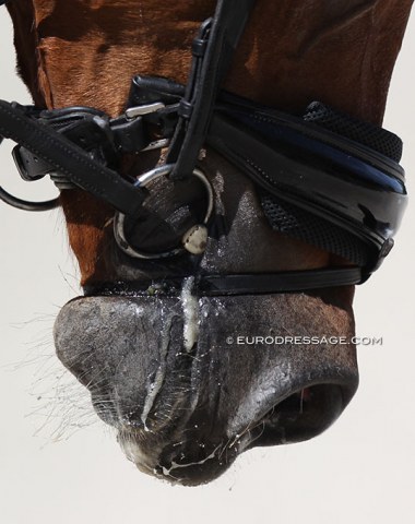 Quite a snug noseband?!