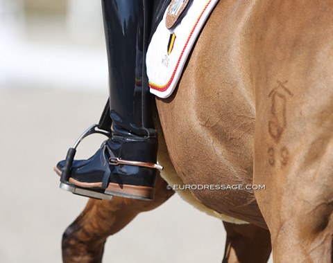 Different colour of boot sole and spur