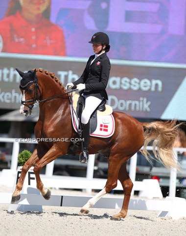 Making a major leap on the board were Nathalie Thomassen on Lykkehojs Dream of Dornik. Her pony was no longer spooky and scores major point with the uphill canter. In trot there were a few smaller fine-tuning issues
