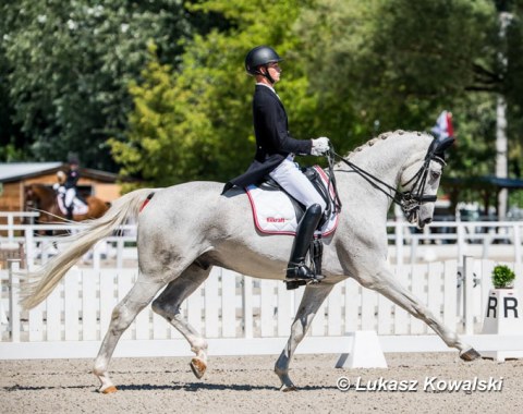 Felix Artner on Sisley Santino