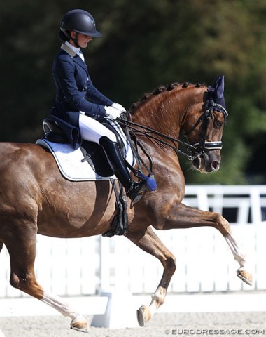 Russian Alexandra Maksakova on Bojengels. Today the rider was too restless in the horse's mouth, which led the talented liver chestnut to pull his tongue over the bit