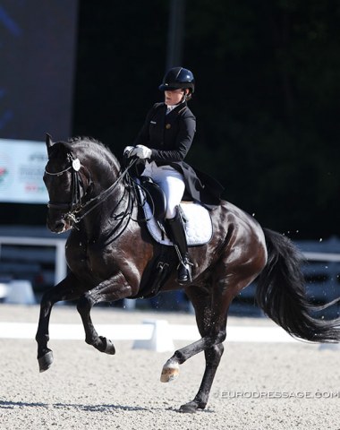 Three Belgian warmbloods in the 2020 European U25 Championship Finals: gold medal winner Foco Loco, French Scherzo ZC (Cedric Gallinard) and Belgian pair Lore Vandenborne on Ikke Pia van de Bergerhoeve (by San Amour x Donnerhall)