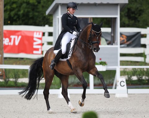 Alexa Westendarp on Hicksteadt. This horse competed for Spain at the 2014 World Equestrian Games in Caen