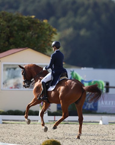 Kazuki Sado on Barolo (by Breitling W)