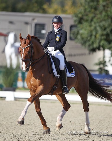 Swedish Ida Persson on her Dutch harness horse, 20-year old Tago (by Larix x Indiaan)