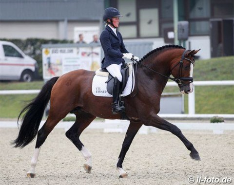 Helen Langehanenberg and the licensed stallion Zoom (by Zack out of Diva Dannebrog)