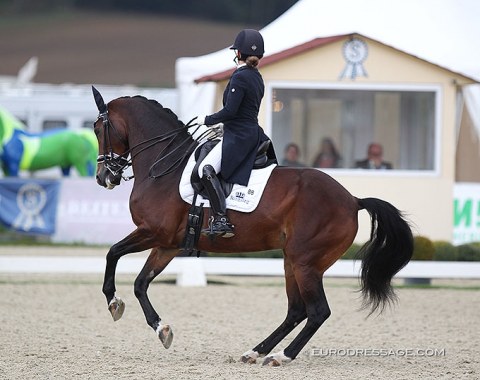 Bente Hedeman Joosten on Hippy Evitia (by Briljant x Parcival)