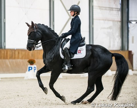 Aurelia von Mauberg on Diamo Dream