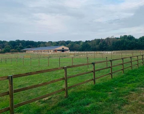 CC Stable