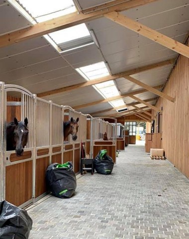 CC Stable