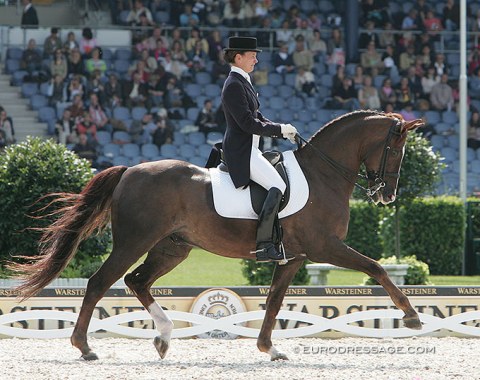 Dombai, the horse with the longest international career ever. Showed at the 2005 EDC as a 12-yo and stayed in the CDI ring until he was 23!!! His riders were Svetlana Yevshchik, Viktoryia Papova, Volha Kresava, Iulianiya Vostrokrylova, Aliaksandra Sazonava, Alyna Berezinskaya, and Anastasiya Dudkova