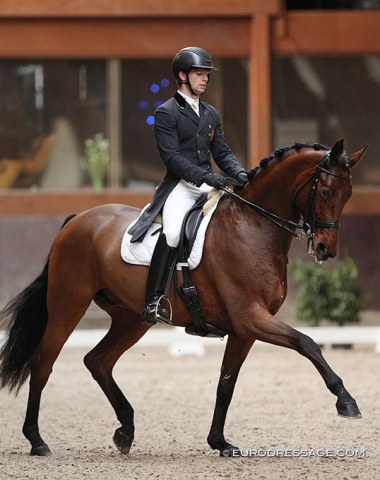 Look Who's back: former Belgian youth team rider Numa Verberne who is wrapping up his university studies in Ghent and now competing in his first Under 25 class on Silent Gatano (by Lord Leatherdale x Gribaldi). They won with 67.180