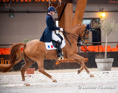 Jean Philippe Siat on Lovesong (by Locksley II x Wolkenstein II)