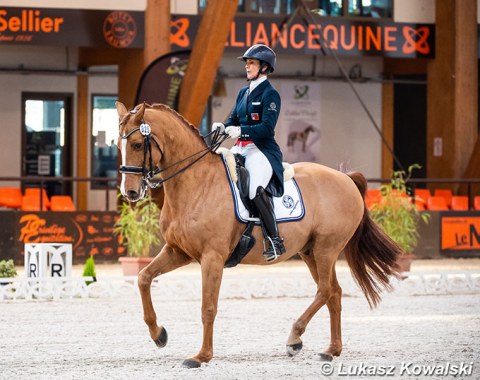 Antonella Joannou on Dandy de la Roche (by Dressage Royal x Walt Disney)