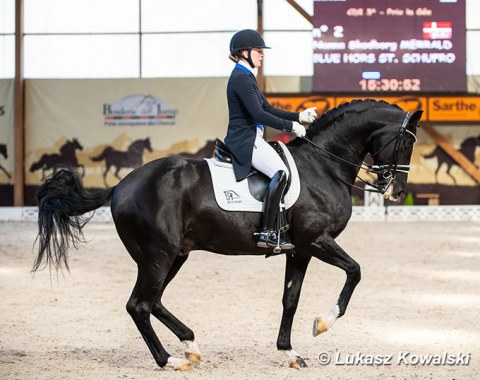 Nanna Skodborg Merrald on Blue Hors St. Schufro (by St Moritz Jr x Don Schufro)