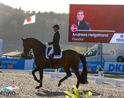 Andreas Helgstrand's Fiontini is another super star with the best walk of the day, but the rough half halting and unhappy mouth did not paint a pretty picture. Too many communication issues for a smooth ride