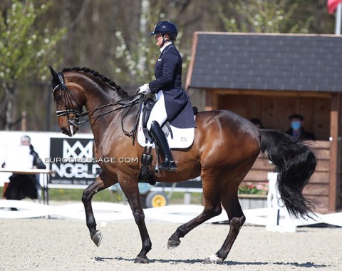 Lone Bang Larsen on Thranegaardens Rostov (by Romanov x Diamond). Her other GP ride, Bakkely's Onandt had two refusals and retired from the test