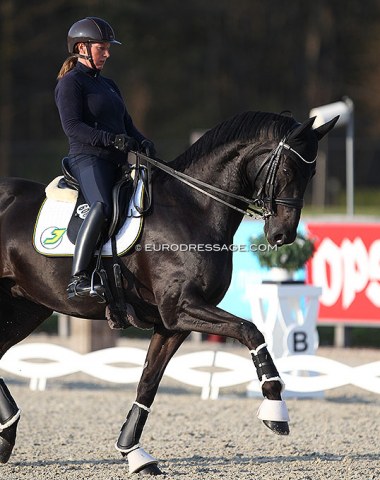 German Jana Freund makes her return to the CDI ring after a 6-year break. Riding Big Ben MJ