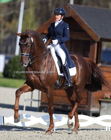 Jeannette Haazen returns to the CDI arena after four years aboard Brigitte de Deken's D-Day (by Vivaldi x Cocktail)