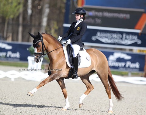 Angelina Hermans on Djamila