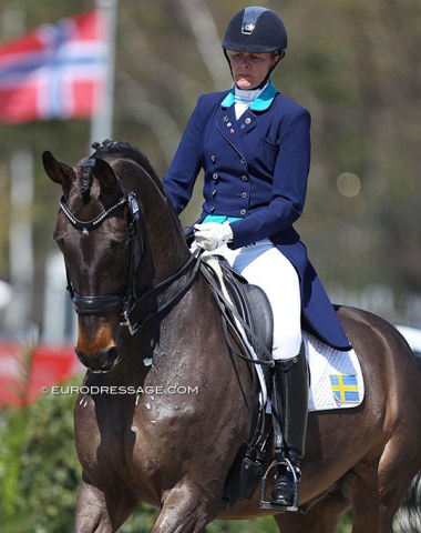 Swedish Sara Magnussen Lostria on Bon Romantic (by Bordeaux x Don Romantic)