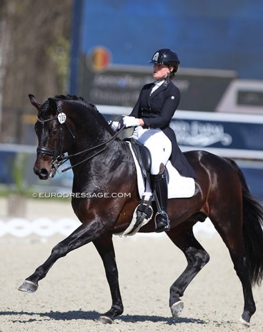 Jennifer Reimer on Daiquiri Royal (by Dancier x Wolkentanz I)