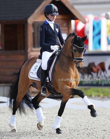Coer Noble can trot !